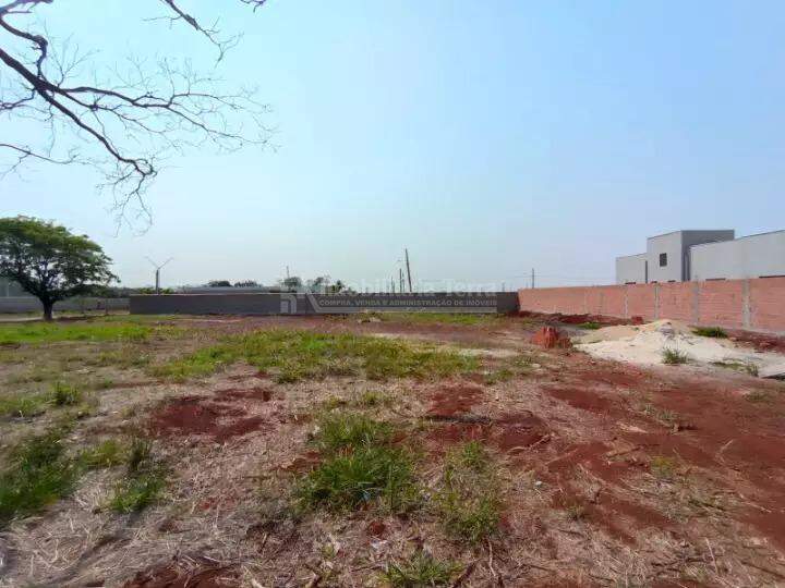 Terreno/Lote no Parque dos Jequitibás em Dourados/MS — foto 1