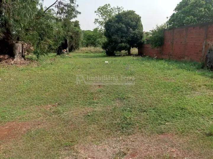 Terreno/Lote no Chácara Flora em Dourados/MS — foto 1