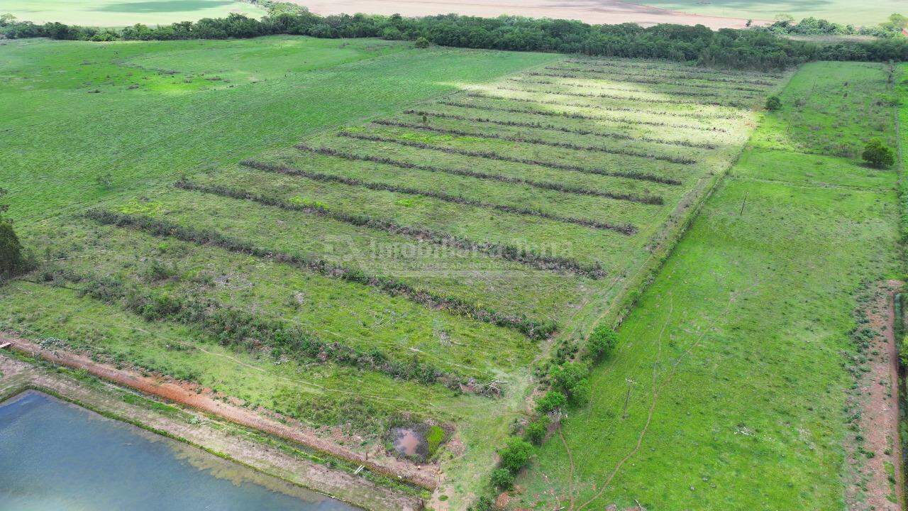 Rural no Sitio Novo Horizonte em Itaporã/MS — foto 18