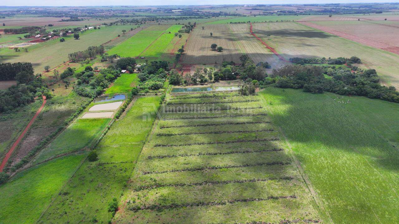 Rural no Sitio Novo Horizonte em Itaporã/MS — foto 14