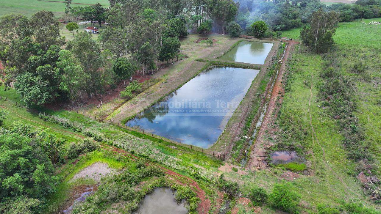 Rural no Sitio Novo Horizonte em Itaporã/MS — foto 9