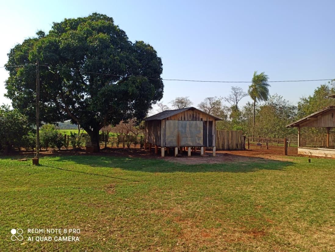 Rural no Zona Rural em Dourados/MS — foto 15