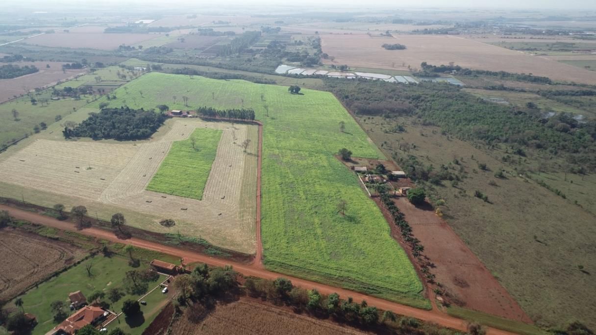 Rural no Zona Rural em Dourados/MS — foto 1
