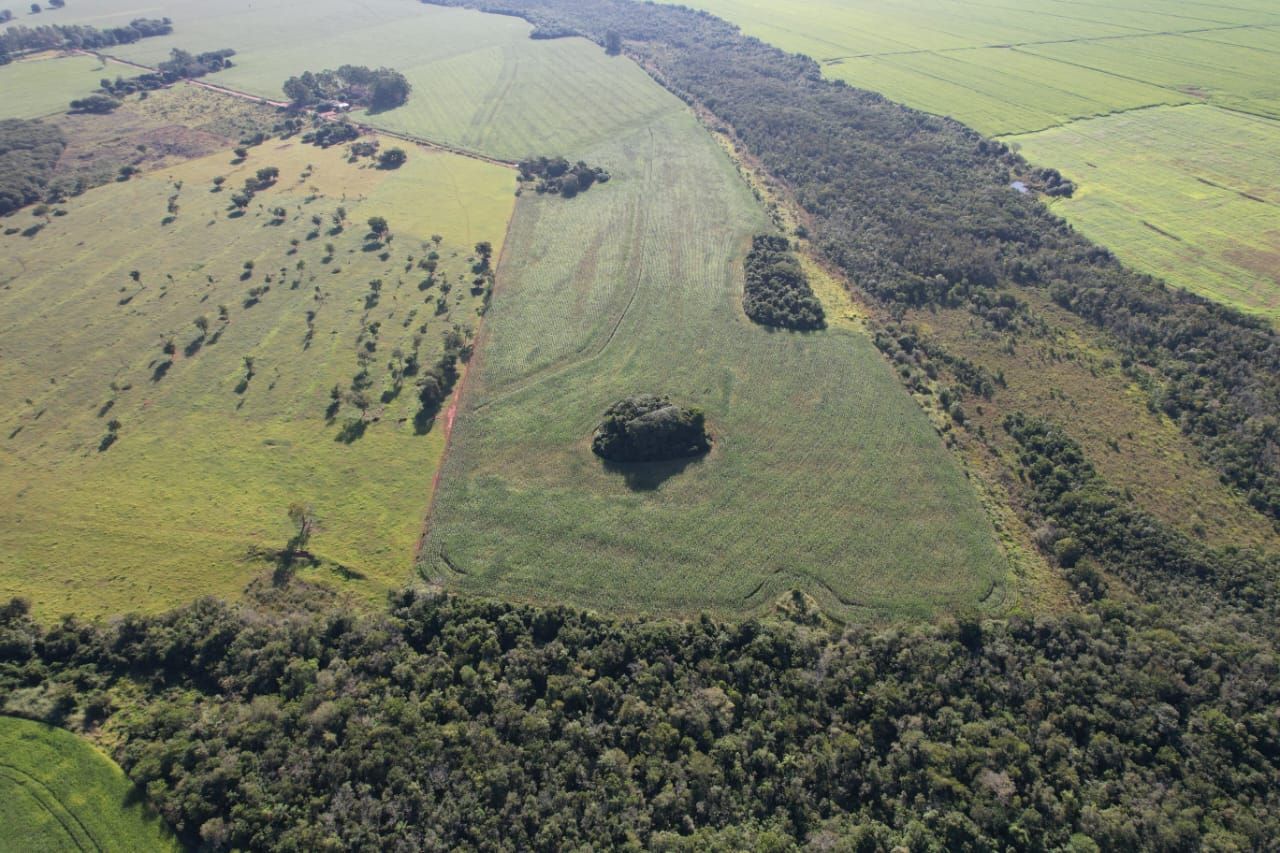 Terreno/Lote no Parque Jardim Das Exposições em Ponta Porã/MS — foto 4