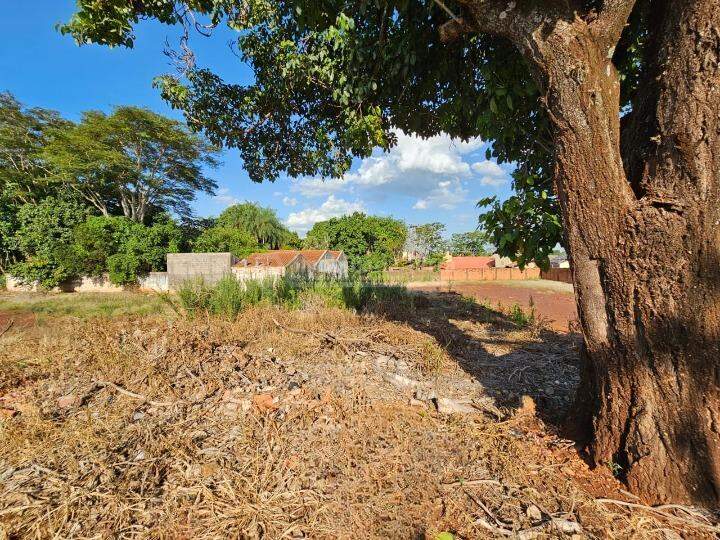 Terreno/Lote no Jardim Europa em Dourados/MS — foto 1