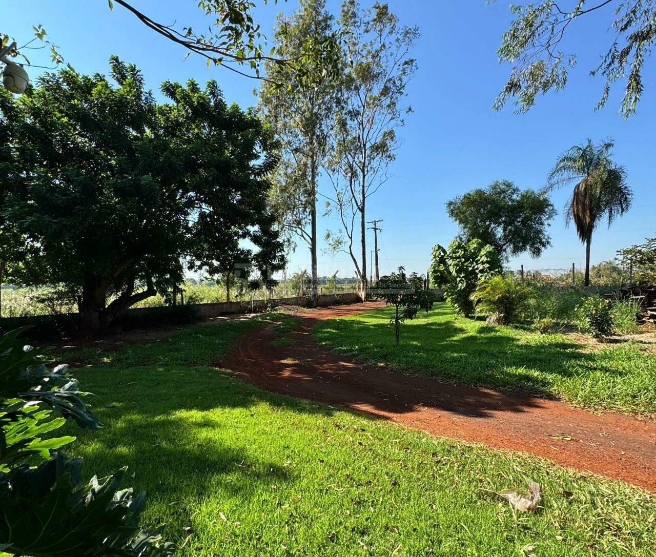 Rural com 4 quartos no Área Rural de Dourados em Dourados/MS — foto 2
