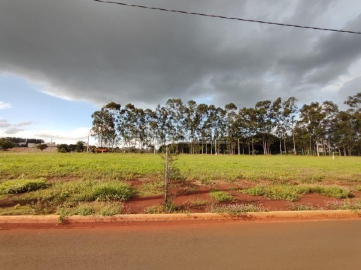 Terreno/Lote no Jardim Cristhais em Dourados/MS — foto 1