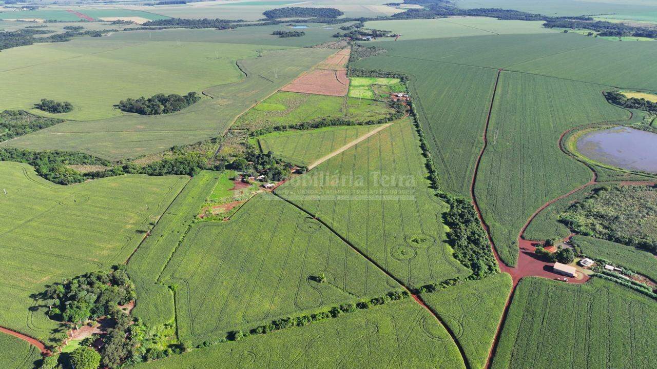 Rural no Zona Rural em Dourados/MS — foto 3