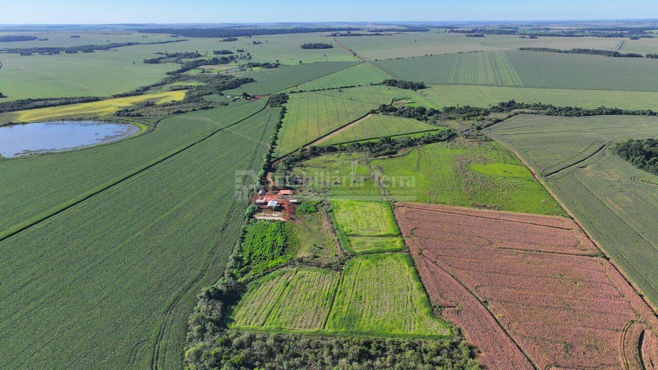 Rural no Zona Rural em Dourados/MS — foto 4