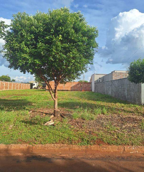 Terreno/Lote no Bonanza em Dourados/MS — foto 1